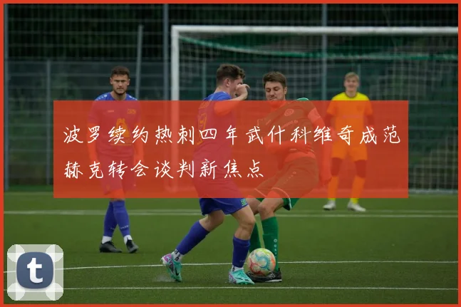 波罗续约热刺四年武什科维奇成范赫克转会谈判新焦点